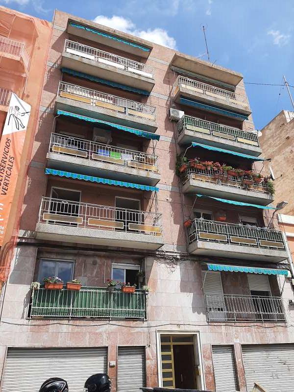 Elche, Carrus
