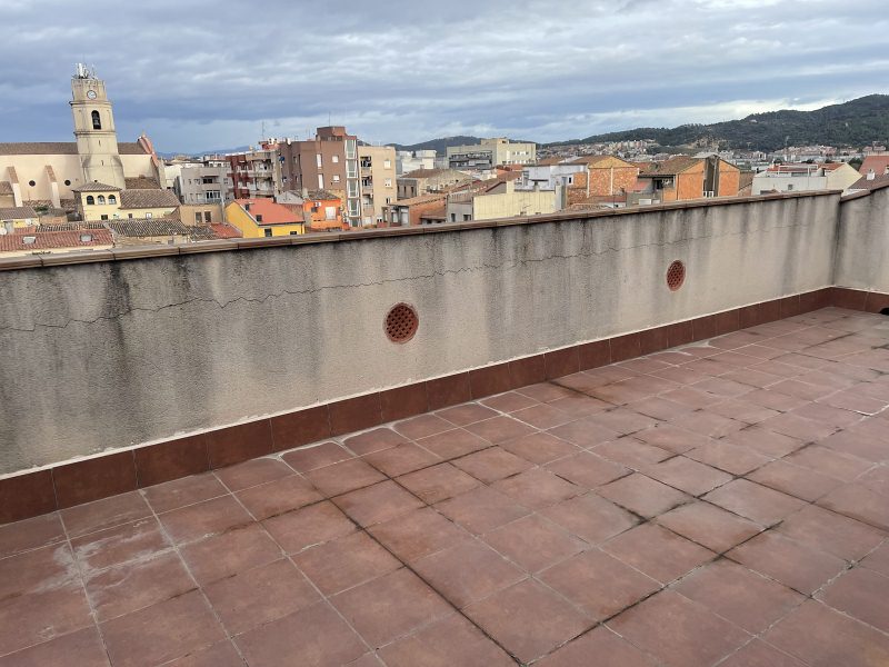 Sant Vicenç dels Horts, La Vinyala