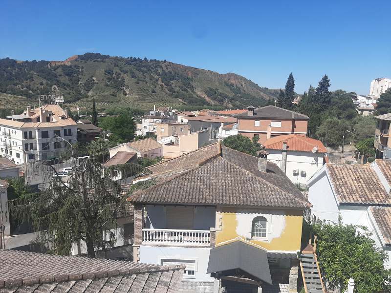Cenes de la Vega