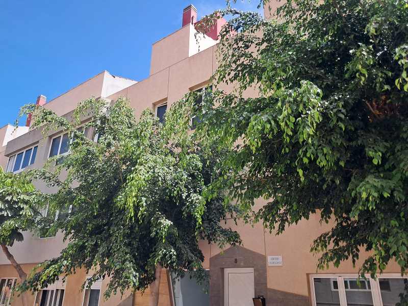 Telde, El Calero